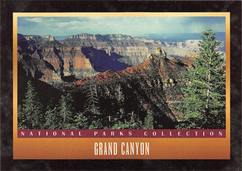 card cover