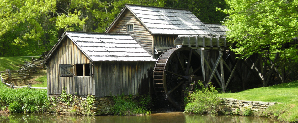 Category:Clinches Pond Reserve - Wikimedia Commons