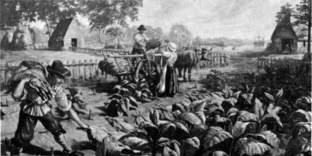 tobacco farmers