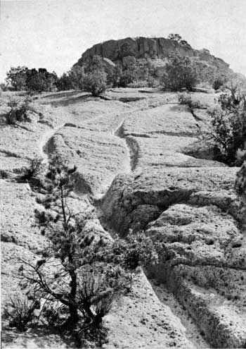 Tsankawi Ruin trail