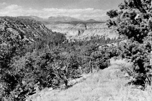 Frijoles Canyon and the Jemez Mountains