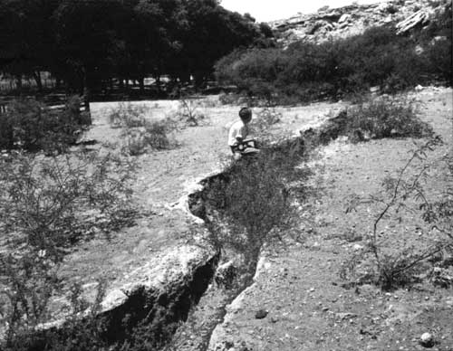 Ancient irrigation ditch