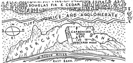 sketch of river bank