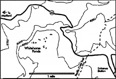 sketch of map of Whitehorse Ponds