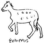 Eohippus
