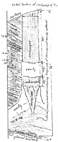 sketch of detailed section of carbonized log