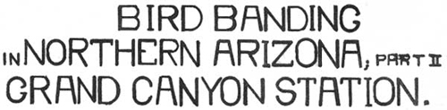 BIRD BANDING IN NORTHERN ARIZONA, PART II; GRAND CANYON STATION.