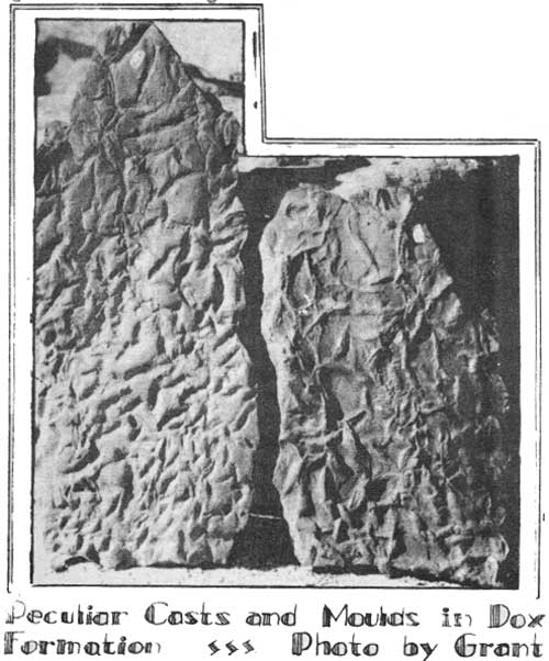 Peculiar Casts and Moulds in Dox Formation Photo by Grant