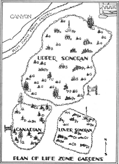 Plan of Life Zone Gardens