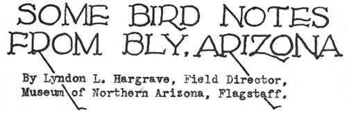SOME BIRD NOTES FROM BLY, ARIZONA By Lyndon L. Hargrave, Field Director,<BR>
Museum of Northern Arizona, Flagstaff.
