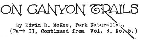 ON CANYON TRAILS By Edwin D. McKee, Park Naturalist, (Part II, Continued from Vol. 8, No. 5.)