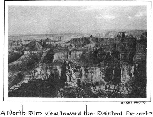 A North Rim view toward the Painted Desert GRANT PHOTO