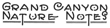 GRAND CANYON NATURE NOTES