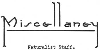 MISCELLANEY Naturalist Staff.