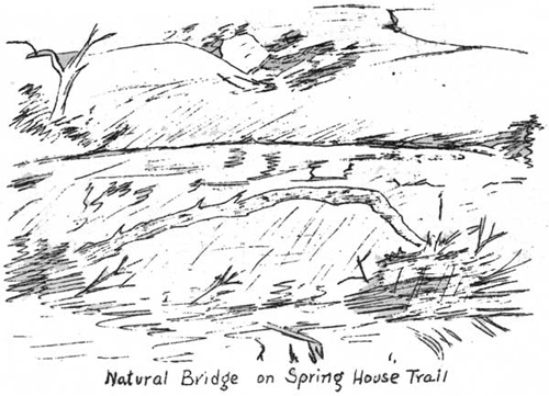 Natural Bridge on Spring House Trail