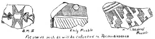 Potsherds such as will be collected in Reconnaissance