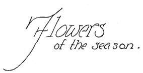 Flowers of the season