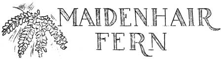 Maidenhair Fern