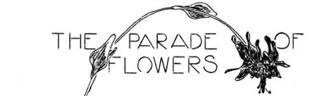 The Parade of Flowers
