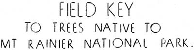 Field Key to Trees Native to Mt. Rainier National Park