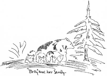 sketch of black bear and cubs