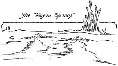 sketch of the Pigeon Springs