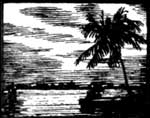 sketch of palm tree and coastline