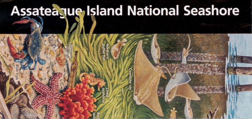 brochure cover