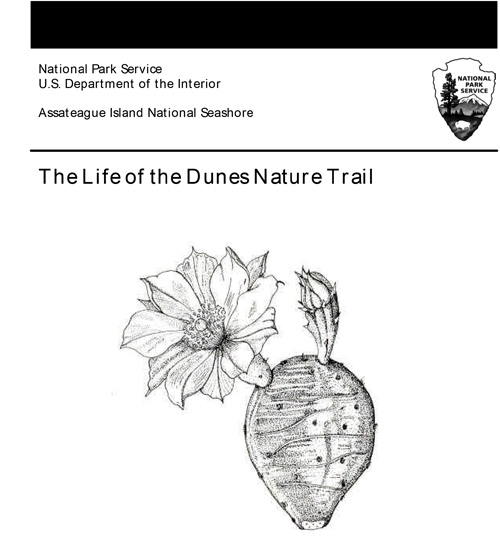 brochure cover