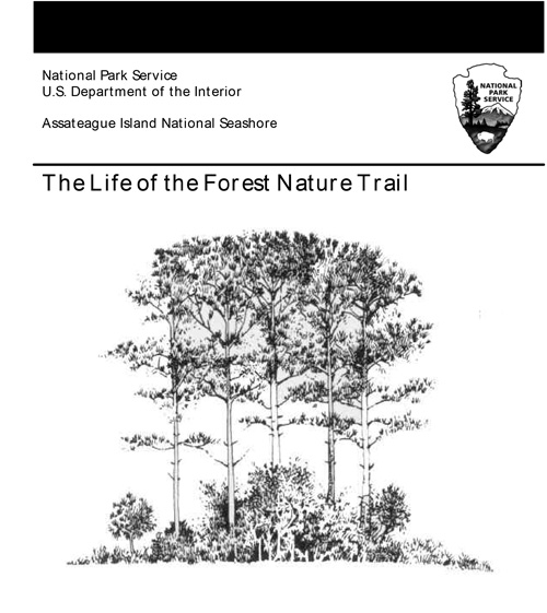 brochure cover