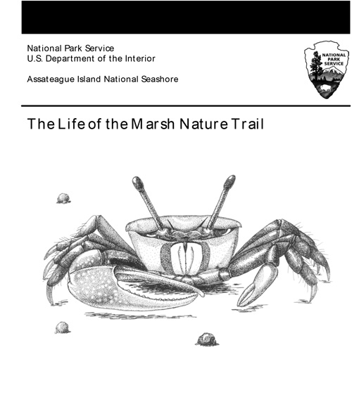 brochure cover