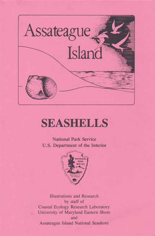 brochure cover