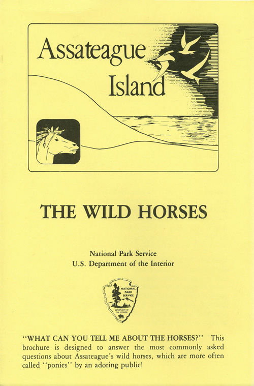 brochure cover