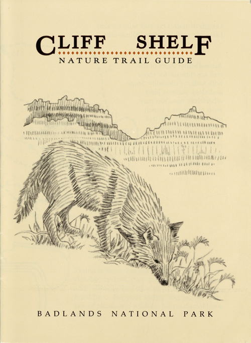 brochure cover