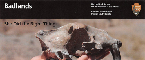 brochure cover