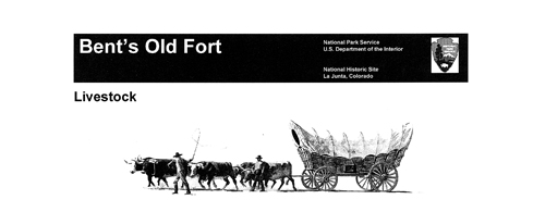 brochure cover