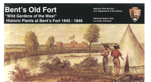 brochure cover