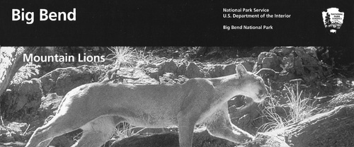 brochure cover