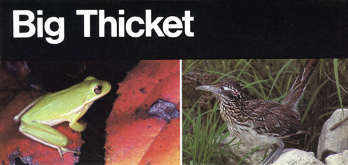 brochure cover