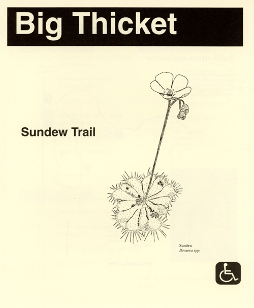 brochure cover