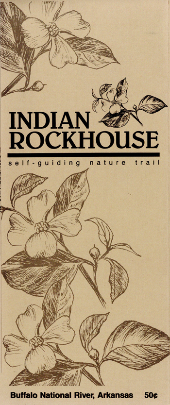 brochure cover