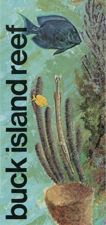 brochure cover