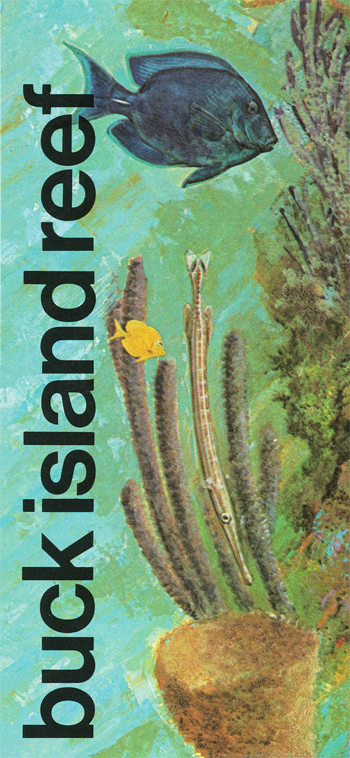 brochure cover