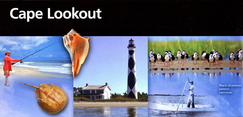 brochure cover