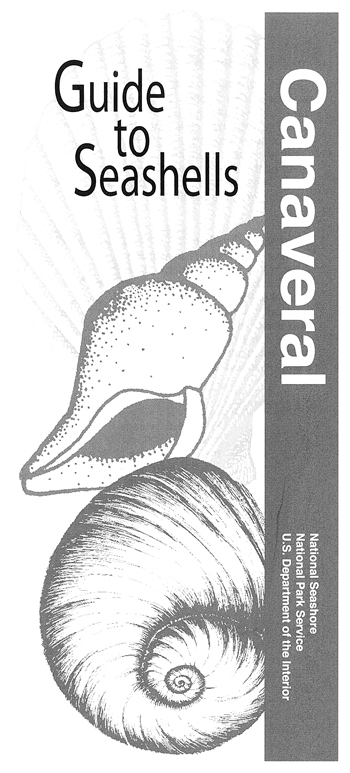 brochure cover