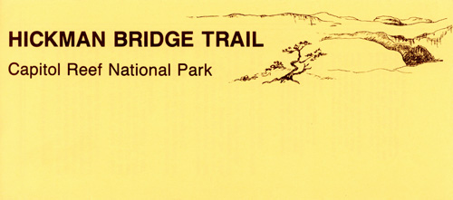 brochure cover