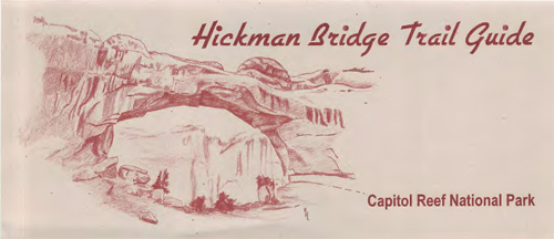 brochure cover