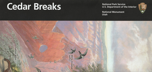 brochure cover