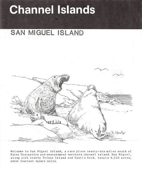 brochure cover