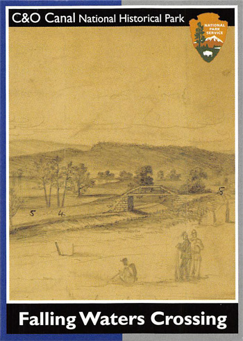 card cover